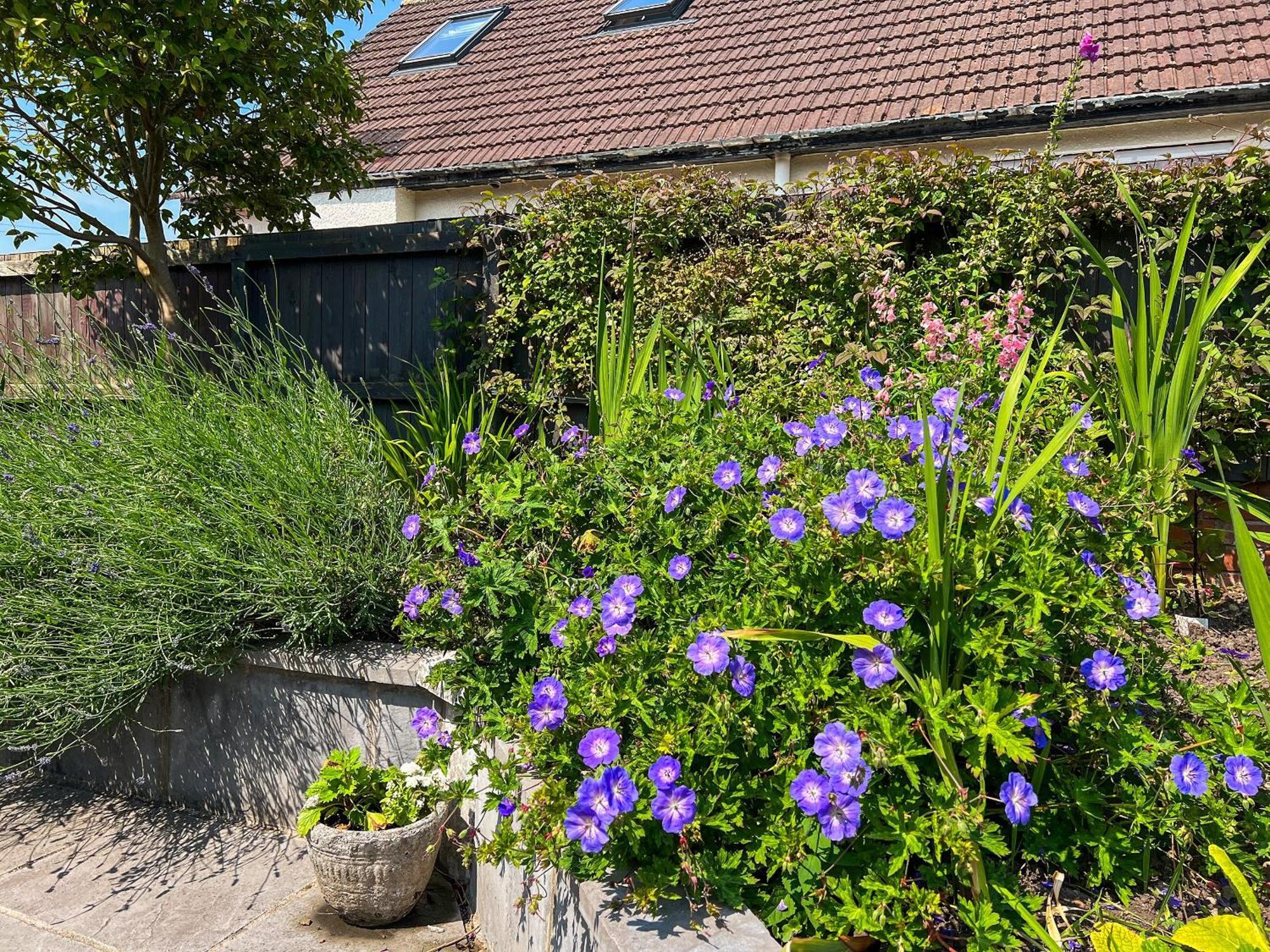 Cwtch Cottage Cardiff Dış mekan fotoğraf